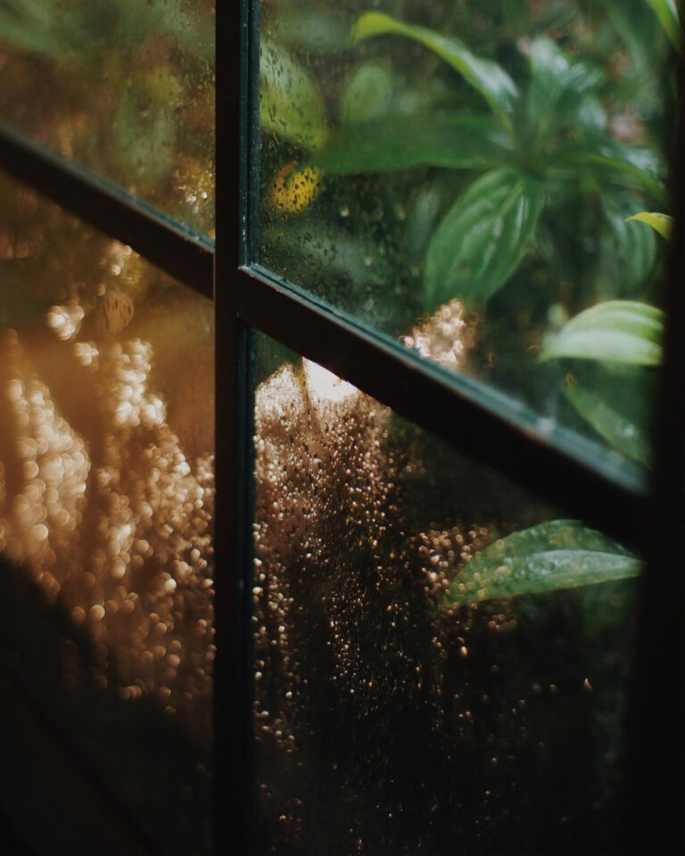 Kontraktor.interior -cafe-duke and duchess 7